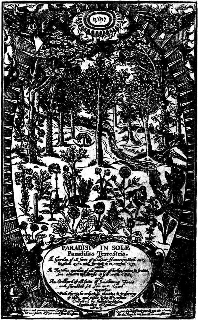 v-a-various-authors-backwoods-issue-1-12.jpg