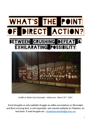 a-w-anonymous-what-s-the-point-of-direct-action-2.pdf