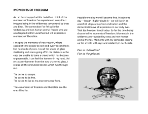 d-m-des-moments-of-freedom-1.pdf
